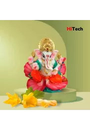 JABA GANESH WHITE